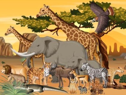 Animal Kits |  African Savanna Animals 60x75cm(24×29.5in) Animal Animal Kits