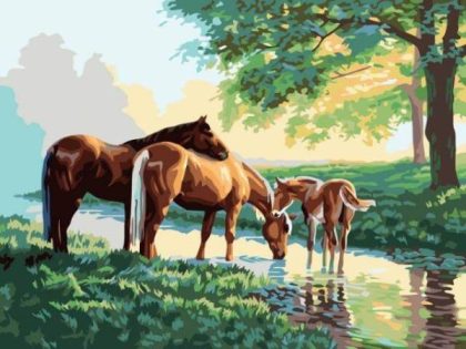 Animal Kits |  Beautiful Horses 60x75cm(24×29.5in) Animal Animal Kits