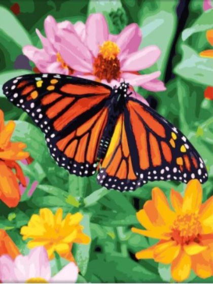 Animal Kits |  Butterfly on Flower – Paint by Numbers Kit 60x75cm(24×29.5in) Animal Animal Kits