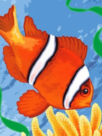 Animal Kits |  Clown Fish 60x75cm(24×29.5in) Animal Animal Kits