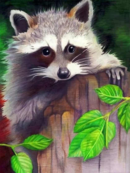 Animal Kits |  Cute Racoon 60x75cm(24×29.5in) Animal Animal Kits