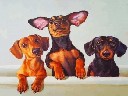 Animal Kits |  Dachshunds Dogs 60x75cm(24×29.5in) Animal Animal Kits