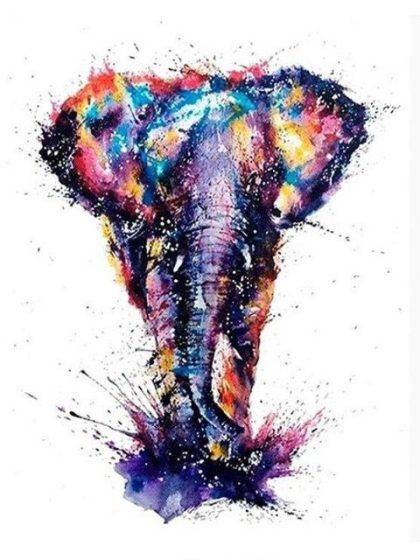 Animal Kits |  Elephant Color Splash 60x75cm(24×29.5in) Animal Animal Kits