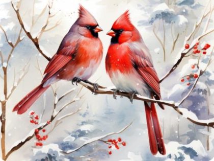 Animal Kits |  Frosty Cardinal Duet 60x75cm(24×29.5in) Animal Animal Kits