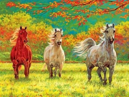 Animal Kits |  Galloping Horses 60x75cm(24×29.5in) Animal Animal Kits