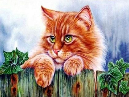 Animal Kits |  Kitty on the Fence 60x75cm(24×29.5in) Animal Animal Kits