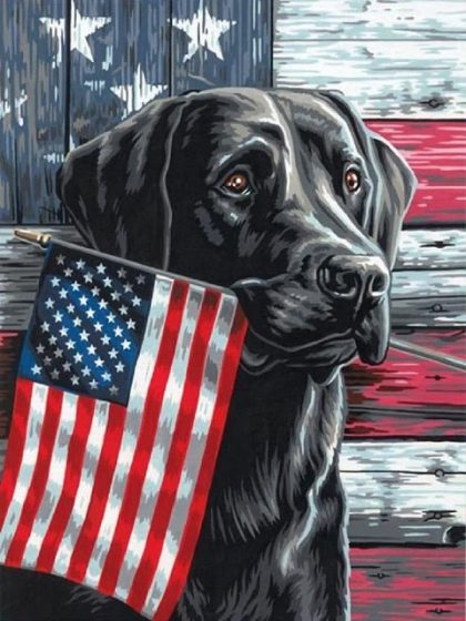 Animal Kits |  Patriotic Dog 60x75cm(24×29.5in) Animal Animal Kits