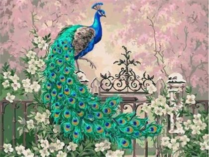 Animal Kits |  Peacock Paint by Numbers Kit 60x75cm(24×29.5in) Animal Animal Kits