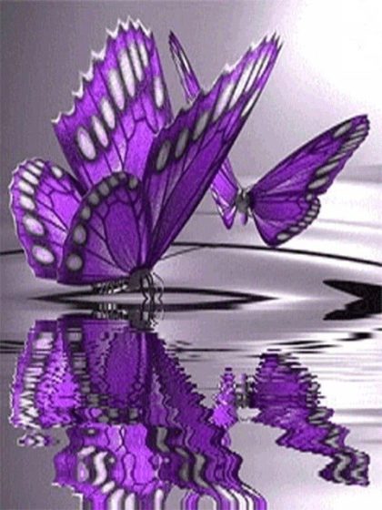 Animal Kits |  Purple Butterflies – Paint by Numbers Kit 60x75cm(24×29.5in) Animal Animal Kits