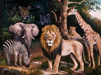 Animal Kits |  Safari Animals 60x75cm(24×29.5in) Animal Animal Kits