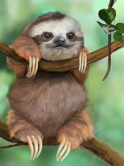 Animal Kits |  Sloth Paint by Numbers 60x75cm(24×29.5in) Animal Animal Kits