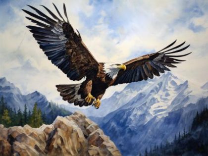 Animal Kits |  Soaring Eagle 60x75cm(24×29.5in) Animal Animal Kits