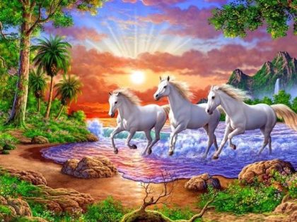 Animal Kits |  Three Beautiful Horses 60x75cm(24×29.5in) Animal Animal Kits