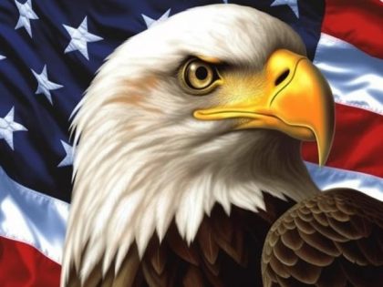 Bird |  American Flag and Eagle 60x75cm(24×29.5in) Animal Bird