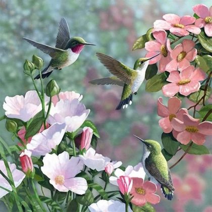 Bird |  Hummingbirds and Flowers 60x60cm(23.5×23.5in) Animal Bird