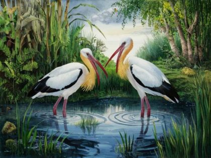 Bird |  Ibis Birds 60x75cm(24×29.5in) Animal Bird