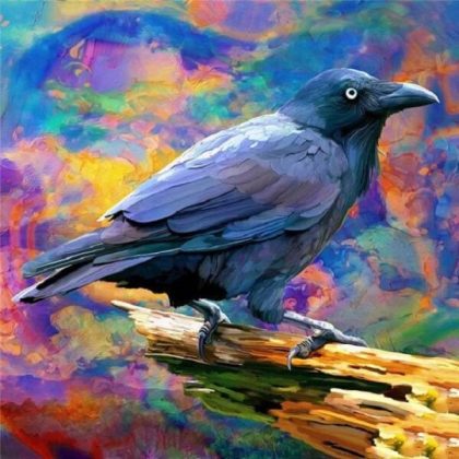 Bird |  Raven 60x60cm(23.5×23.5in) Animal Bird