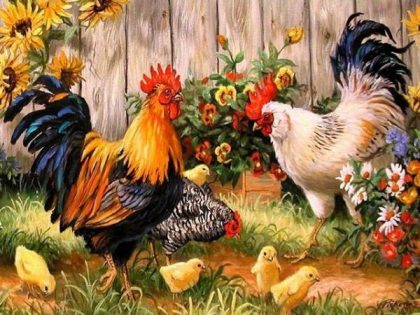 Bird |  Roosters and Chicken Paint by Numbers 60x75cm(24×29.5in) Animal Bird