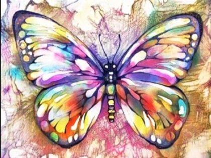 Butterfly |  Colorful Butterfly – Paint by Numbers Kit 60x75cm(24×29.5in) Animal Butterfly