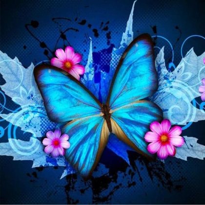 Butterfly |  Turquoise Butterfly – Paint by Numbers Kit 60x75cm(24×29.5in) Animal Butterfly