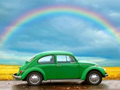 Car |  Beetle and Rainbow 60x75cm(24×29.5in) Car Car