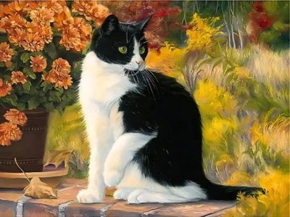 Cat |  Beautiful Cat 60x75cm(24×29.5in) Animal Cat