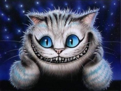 Cat |  Cheshire Cat Smile 60x75cm(24×29.5in) Animal Cat