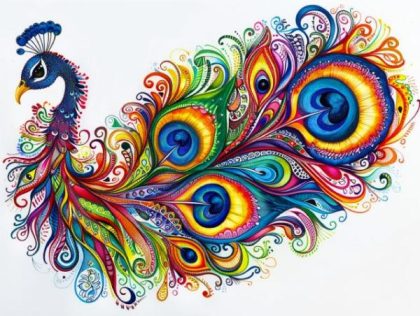 Colorful |  Eye of the Feather 60x75cm(24×29.5in) Colorful Colorful