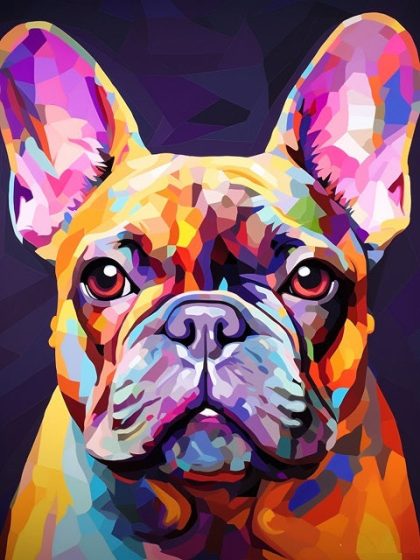 Colorful |  French Bulldog 60x75cm(24×29.5in) Colorful Colorful