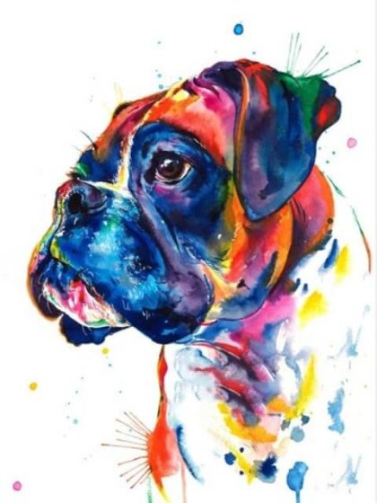 Dog |  Boxer Dog 60x75cm(24×29.5in) Animal Dog