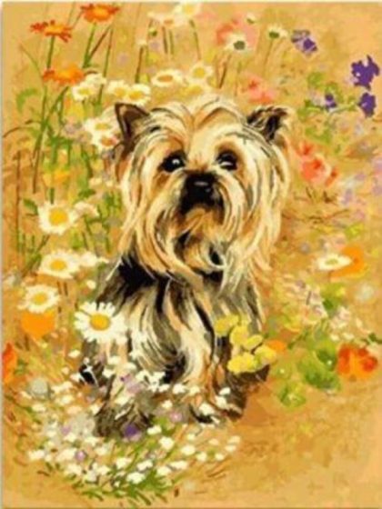 Dog |  Yorkie 60x75cm(24×29.5in) Animal Dog