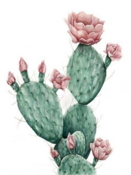 Floral Kits |  Cactus Opuntia 60x75cm(24×29.5in) Floral Kits Floral Kits