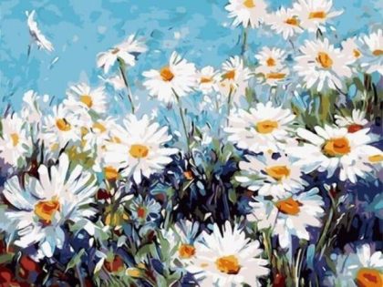 Floral Kits |  Daisies 60x75cm(24×29.5in) Floral Kits Floral Kits