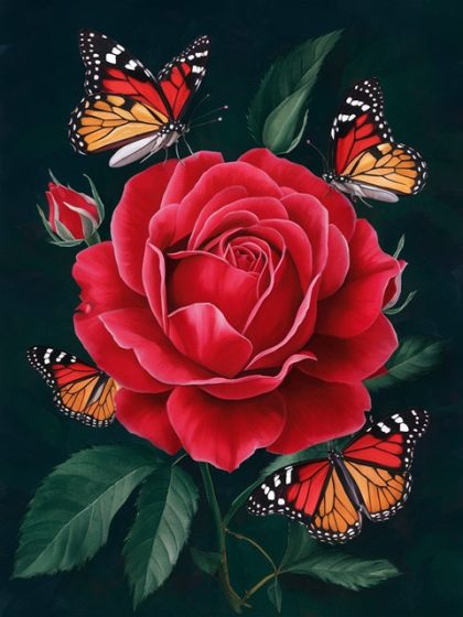 Floral Kits |  Red Rose Loved by Butterflies – Paint by Numbers Kit 60x75cm(24×29.5in) Floral Kits Floral Kits