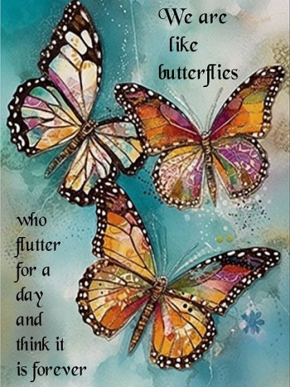 Inspirational Quotes |  Butterfly Quote – Paint by Numbers 60x75cm(24×29.5in) Inspirational Quotes Inspirational Quotes