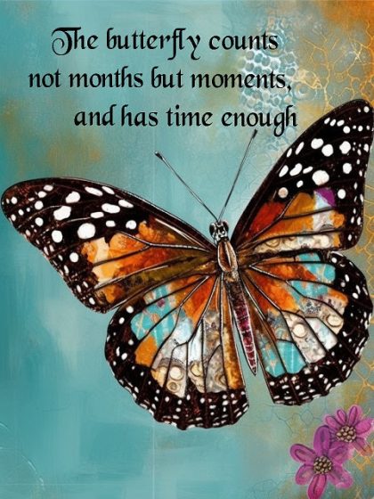 Inspirational Quotes |  Butterfly Saying 60x75cm(24×29.5in) Inspirational Quotes Inspirational Quotes