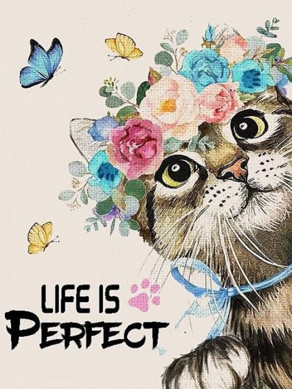 Inspirational Quotes |  Life is Perfect with Cats 60x75cm(24×29.5in) Inspirational Quotes Inspirational Quotes