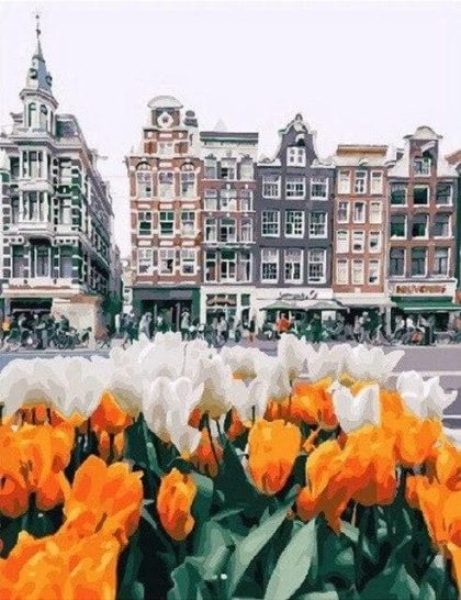 Landscape |  Amsterdam Tulips 60x75cm(24×29.5in) Landscape Landscape