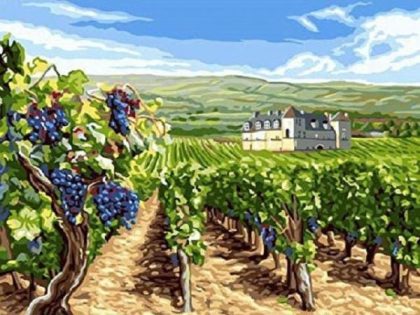 Landscape |  Vineyard – Paint by Numbers Kit 60x75cm(24×29.5in) Landscape Landscape