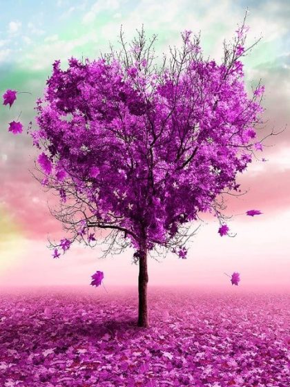 Love |  Purple Heart Tree – Paint by Numbers Kit 60x75cm(24×29.5in) Love Love