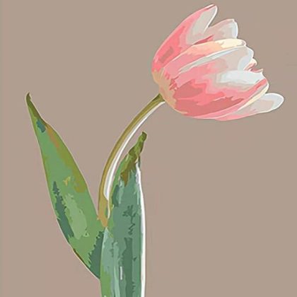 Mini |  Pink Tulip 20x20cm(8x8in) Mini Mini