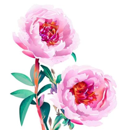 Mini |  Soft Pink Peonies – Paint by Numbers 20x20cm(8x8in) Mini Mini