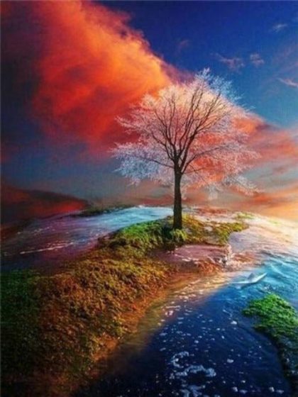 Tree |  Colorful Tree – Paint by Numbers Kit 60x75cm(24×29.5in) Landscape & Nature Tree