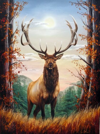 Animal Kits |  Mighty Elk in Forrest 60x75cm(24×29.5in) Animal Animal Kits