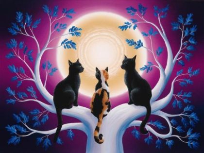 Cat |  Cats Session 60x75cm(24×29.5in) Animal Cat