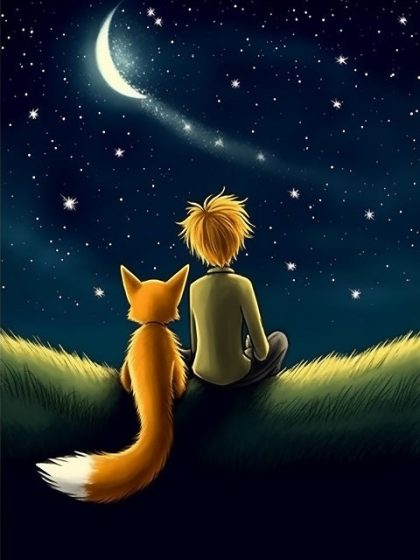 Fantasy Kits |  Little Prince 60x75cm(24×29.5in) Fantasy Kits